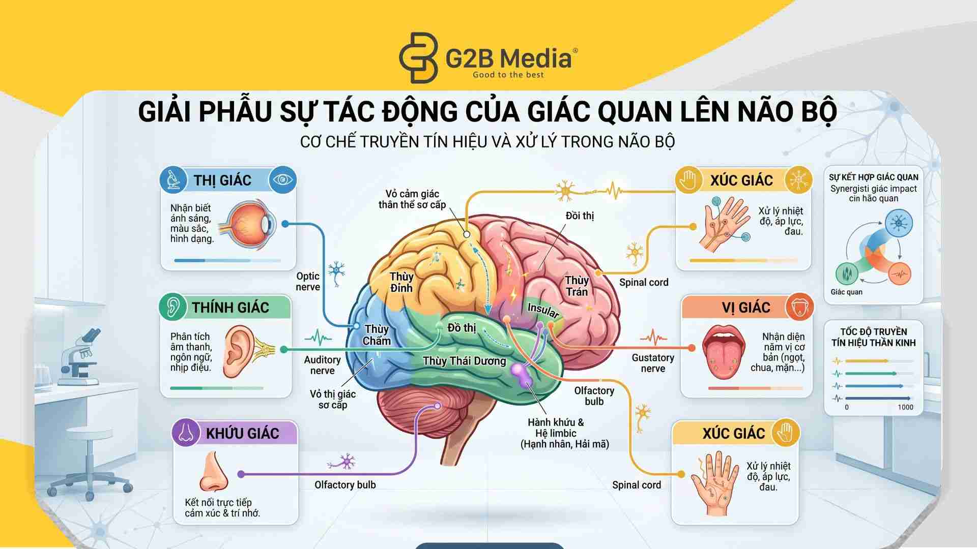 sensory marketing là gì, tác động của tiếp thị giác quan đến tiềm thức khách hàng